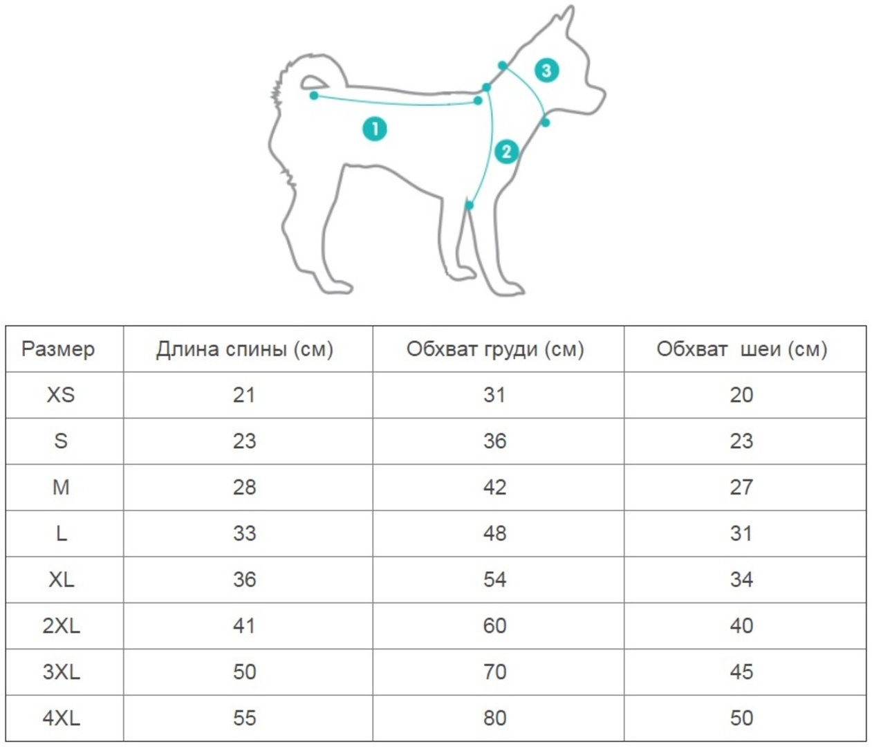 обхват груди для размера 58 фото 66