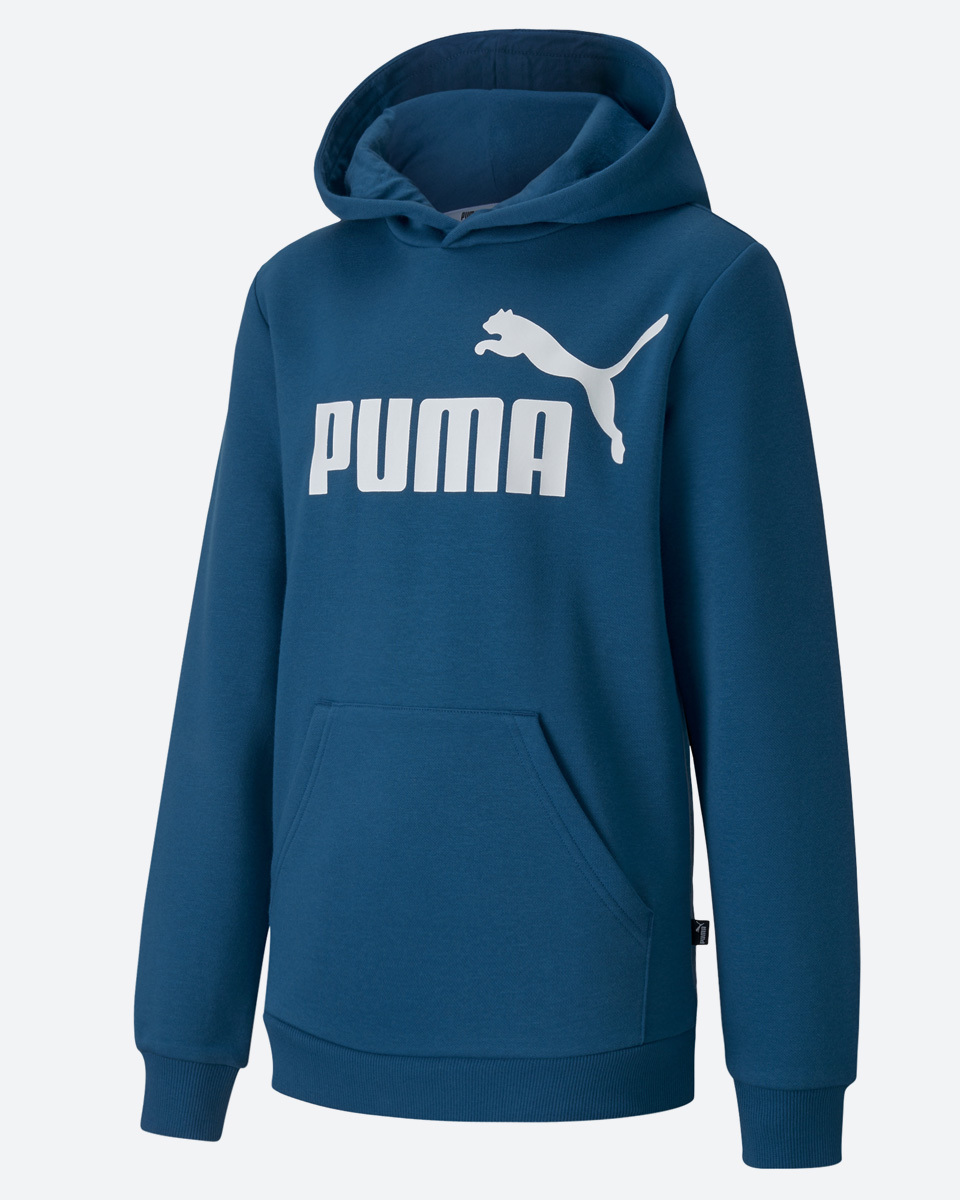 Hoodie puma. Худи Puma ESS. Синия толстовка Пума. Puma ESS logo Hoodie. Худи Пума синяя.