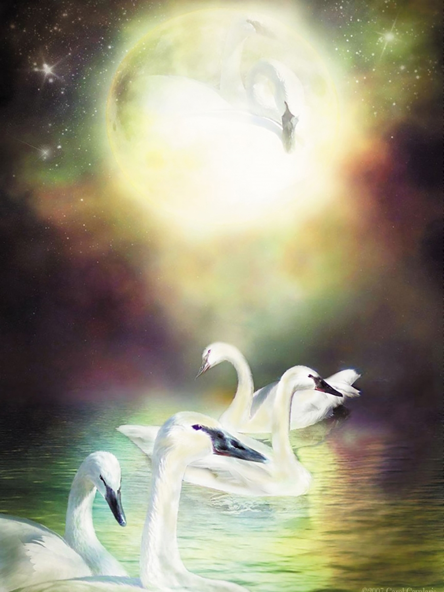 Carol Cavalaris картины лебедь