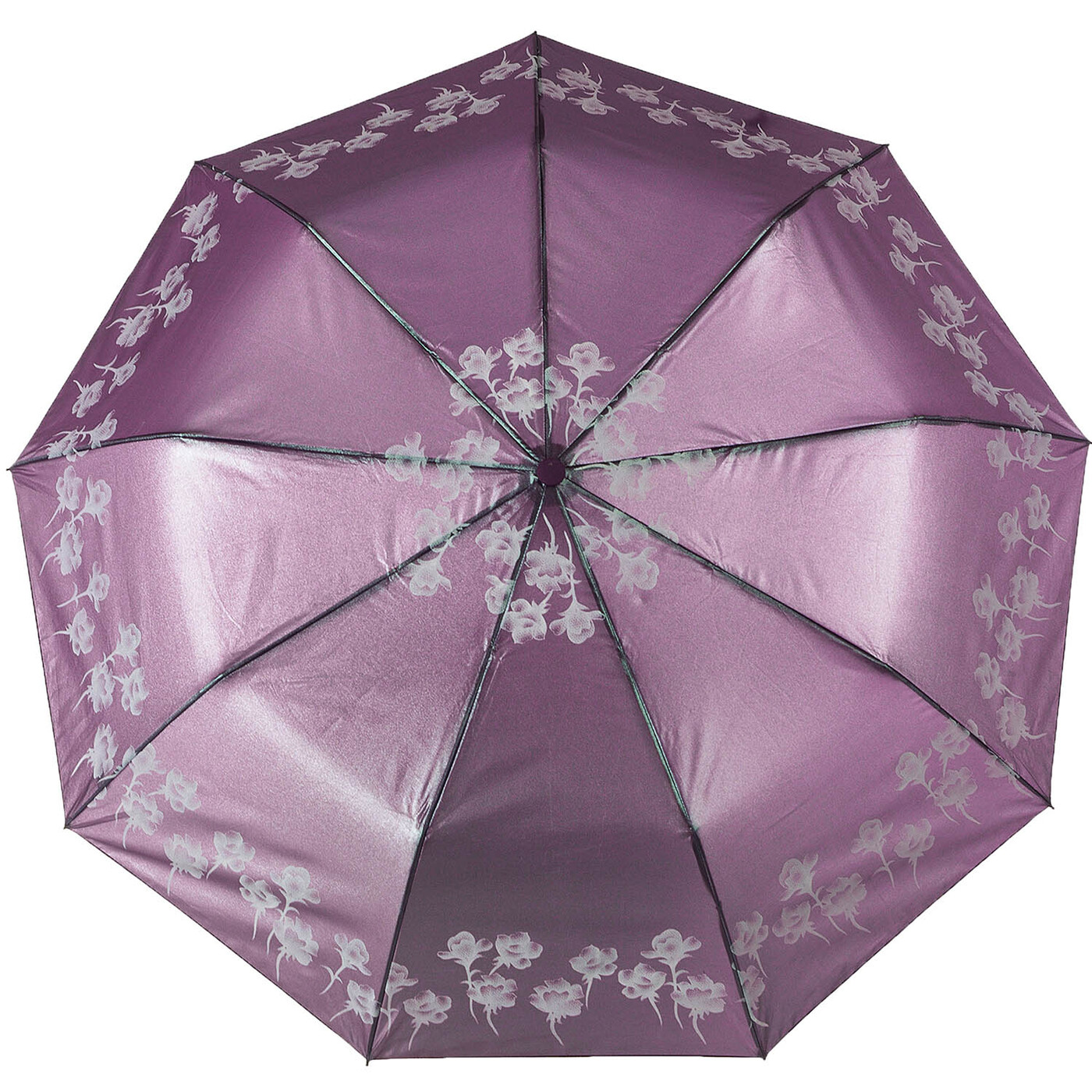 Зонт DOLPHIN umbrella — купить в интернет-магазине OZON с быстрой доставкой