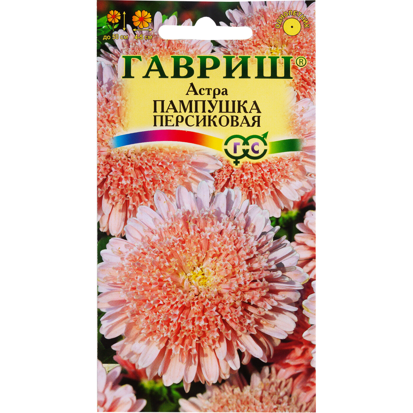 Семена Астры Купить В Интернет Магазине