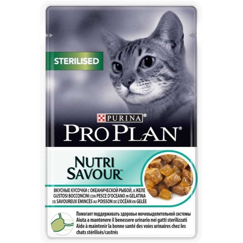 Purina Pro Plan Для Котят Купить Оптом