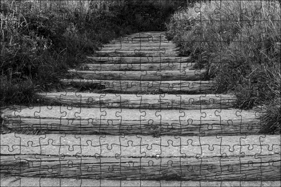 Красивая тропинка. Дорожка цветочная на мероприятия. Дорожка черно белая. Дорожка в прихожую длинная. Дорожка в коридор.