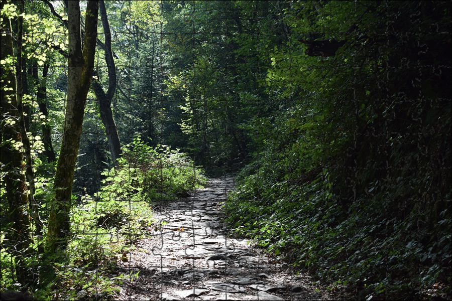 Лес Рима. Forest Hiking.