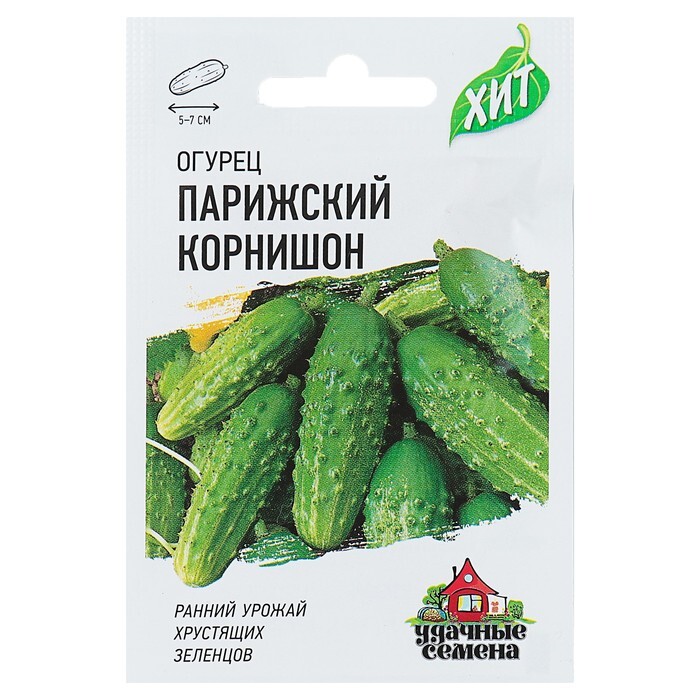 Огурец Монисия Отзывы Фото