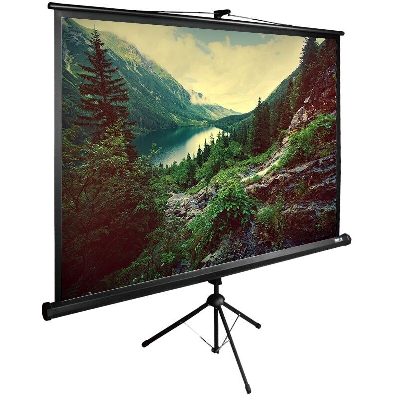 ЭкранCactus220x220смTriExpert1:1напольныйрулонныйчерный(CS-PSTE-220X220-BK)