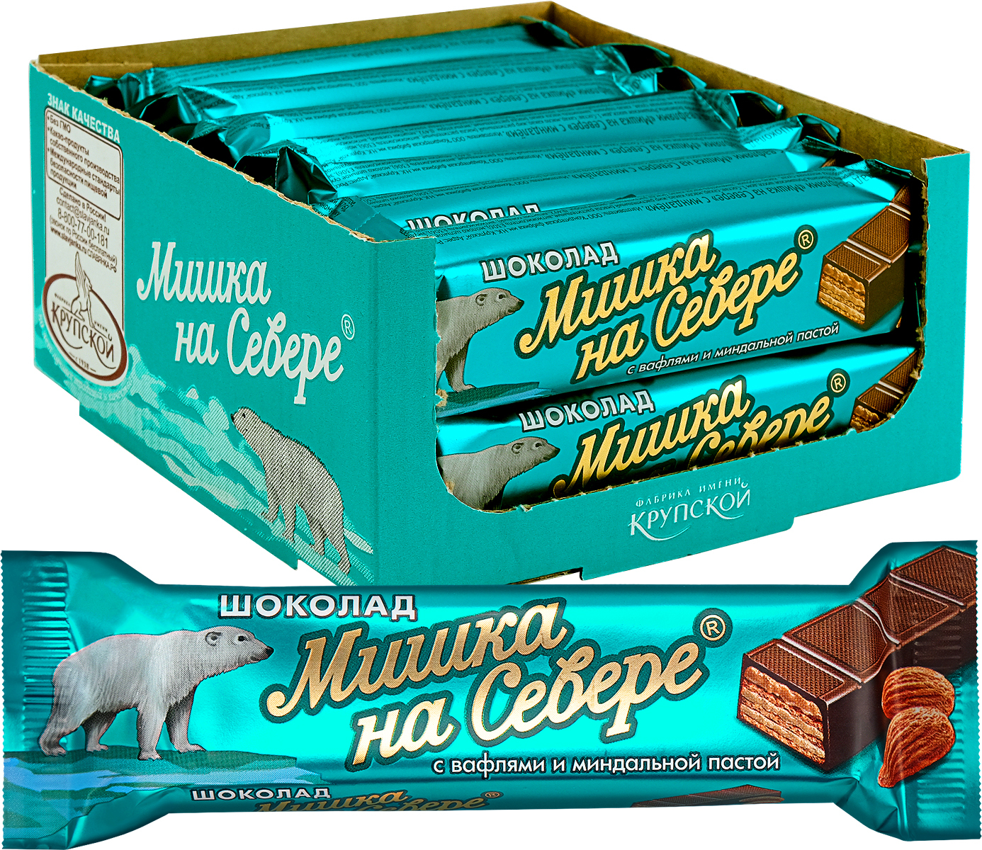 Мишка на севере