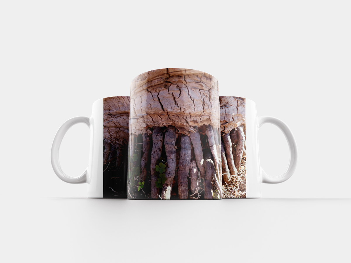 кружки корень