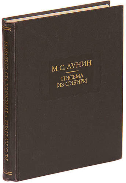 Повесть дневник. Лунин письма из Сибири литературные памятники. Лунин письма из Сибири. Дружинин в повести. Лунин литературные памятники.