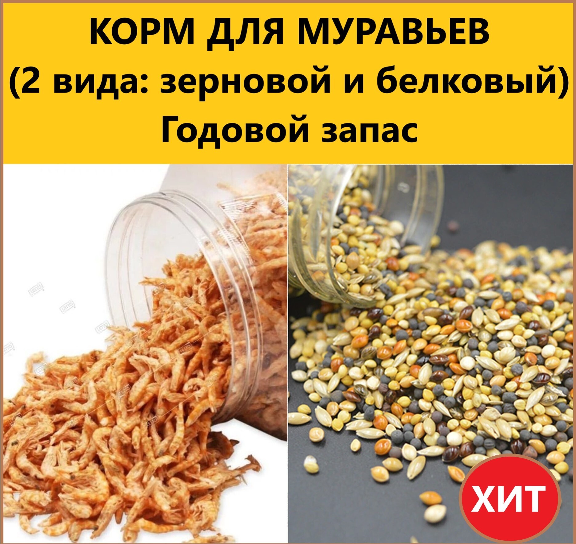 Белковый Корм Для Муравьев Купить