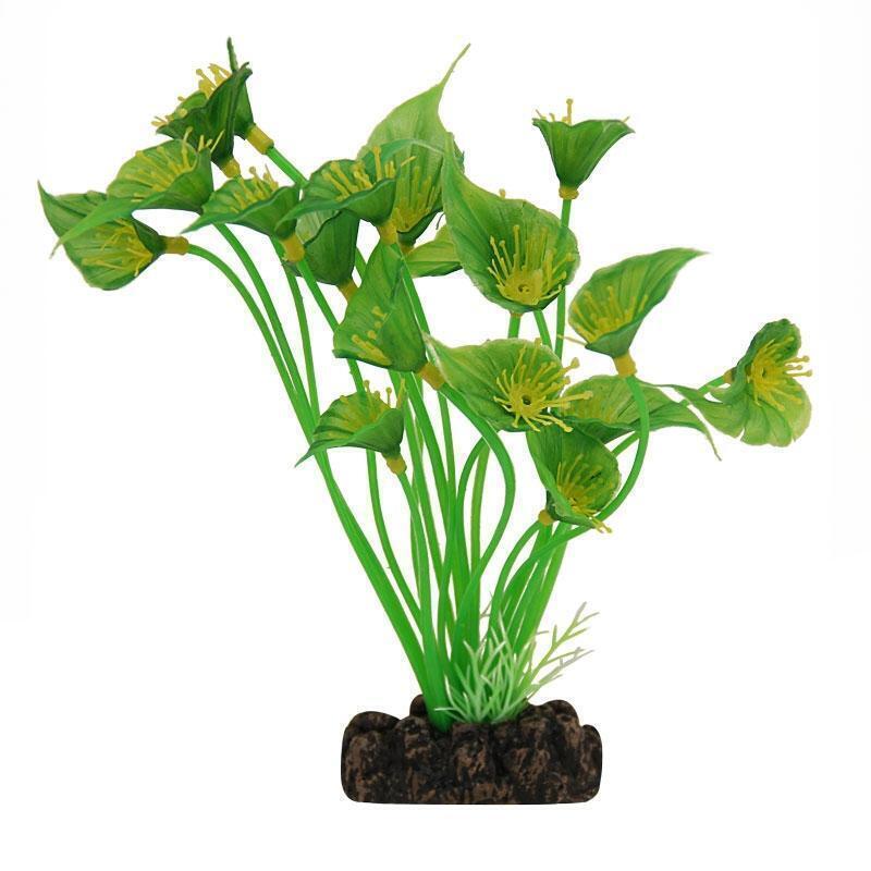 Спатифиллум для кошек. Спатифиллум сингониум. Спатифиллум зеленый. Спатифиллум салатовый. Спатифиллум зелёный аквариумное растение.