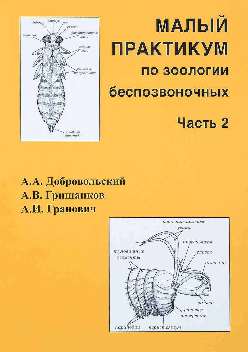 Зоология беспозвоночных. Малый практикум по зоологии беспозвоночных часть 1. Малый практикум по зоологии беспозвоночных Тихомиров. Практикум по зоологии Шапкин. Зоология беспозвоночных практикум.