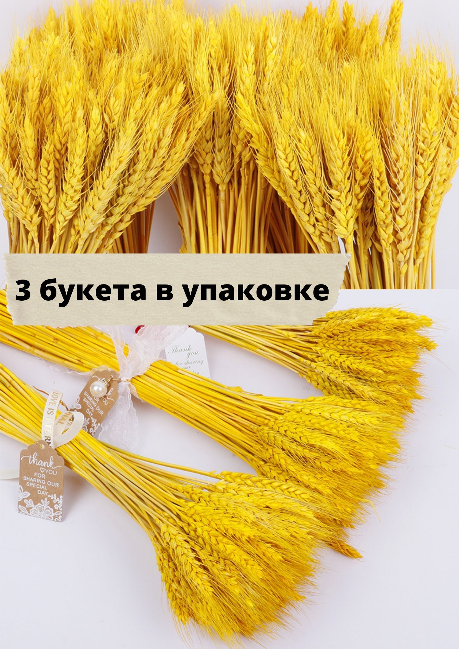 Букет из сухоцветов, Сухоцветы AGET*Home Пшеница, 60 см, 1000 гр купить ...