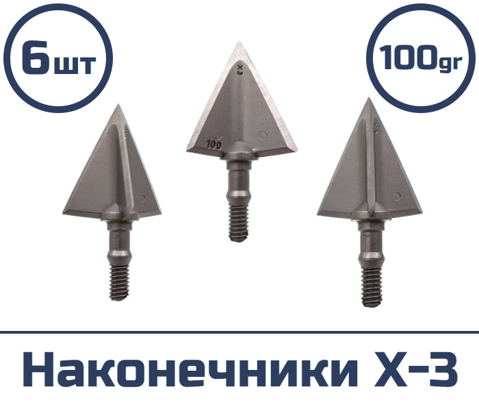 x-3-100-6-ozon