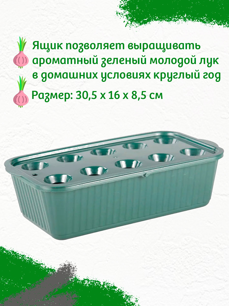Ящик для выращивания зеленого лука 10 ячеек купить по низкой цене в ...
