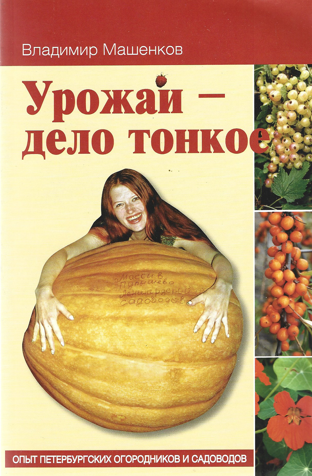 богатый урожай. осень сад огород. овощи на огороде. урожай дело. корзина с фруктами и овощами урожай.