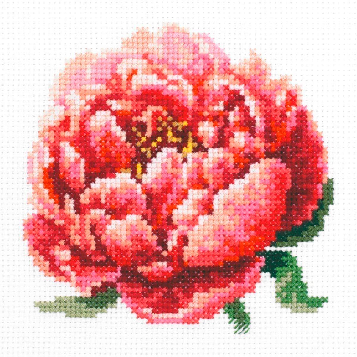 пионы крестом. анкор пион. вышивание крестиком пионы. вышивка крестом розовые пионы. риолис древовидный пион 1854.