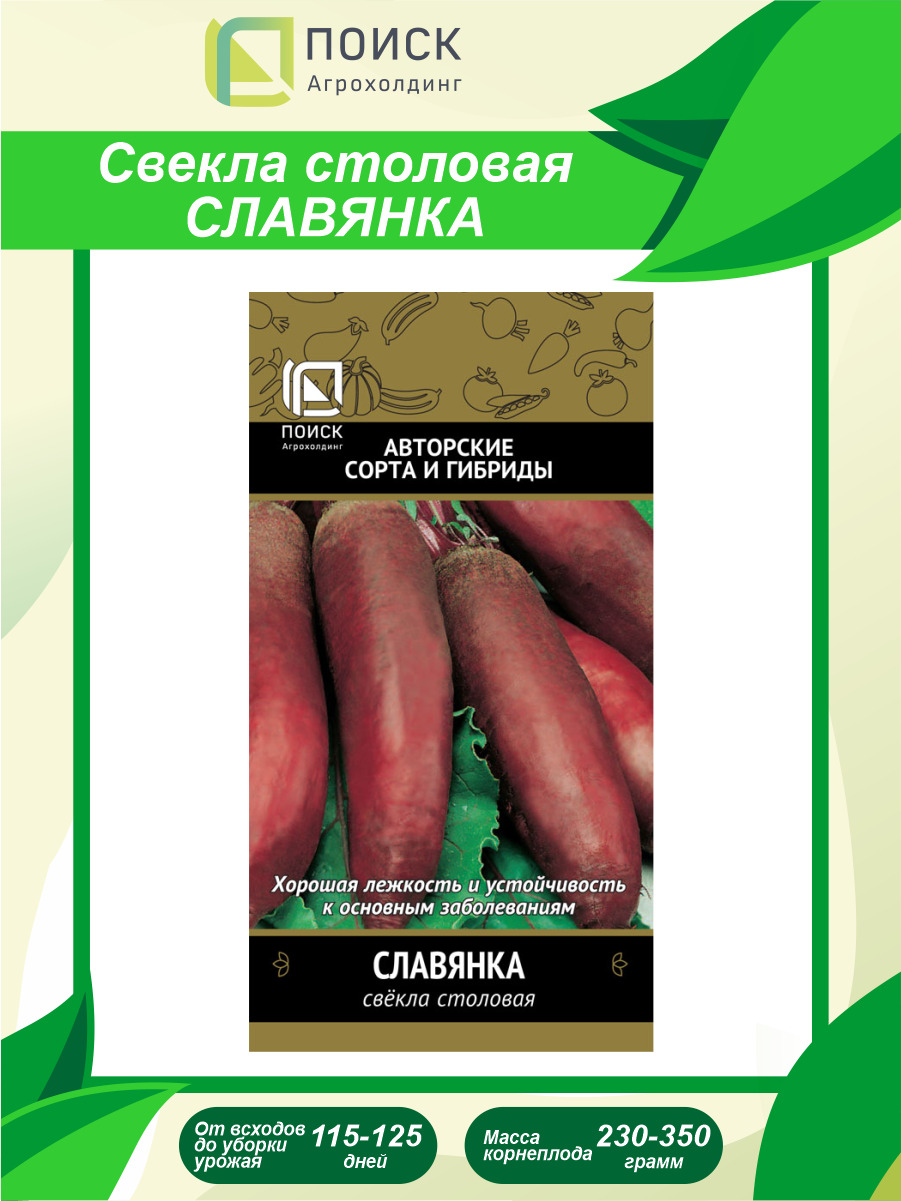 Свекла Славянка Описание Сорта Фото