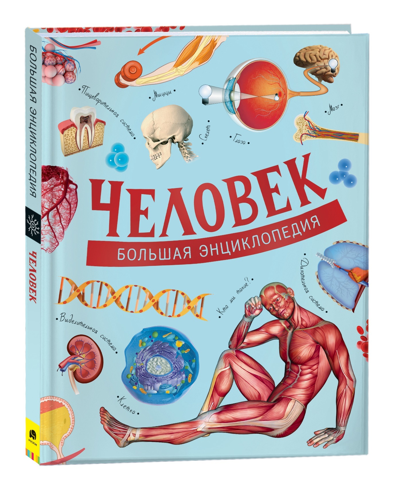 Человек. Большая энциклопедия школьника