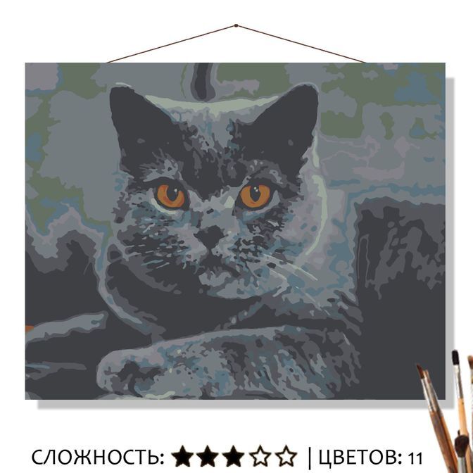 Картина по номерам серый кот