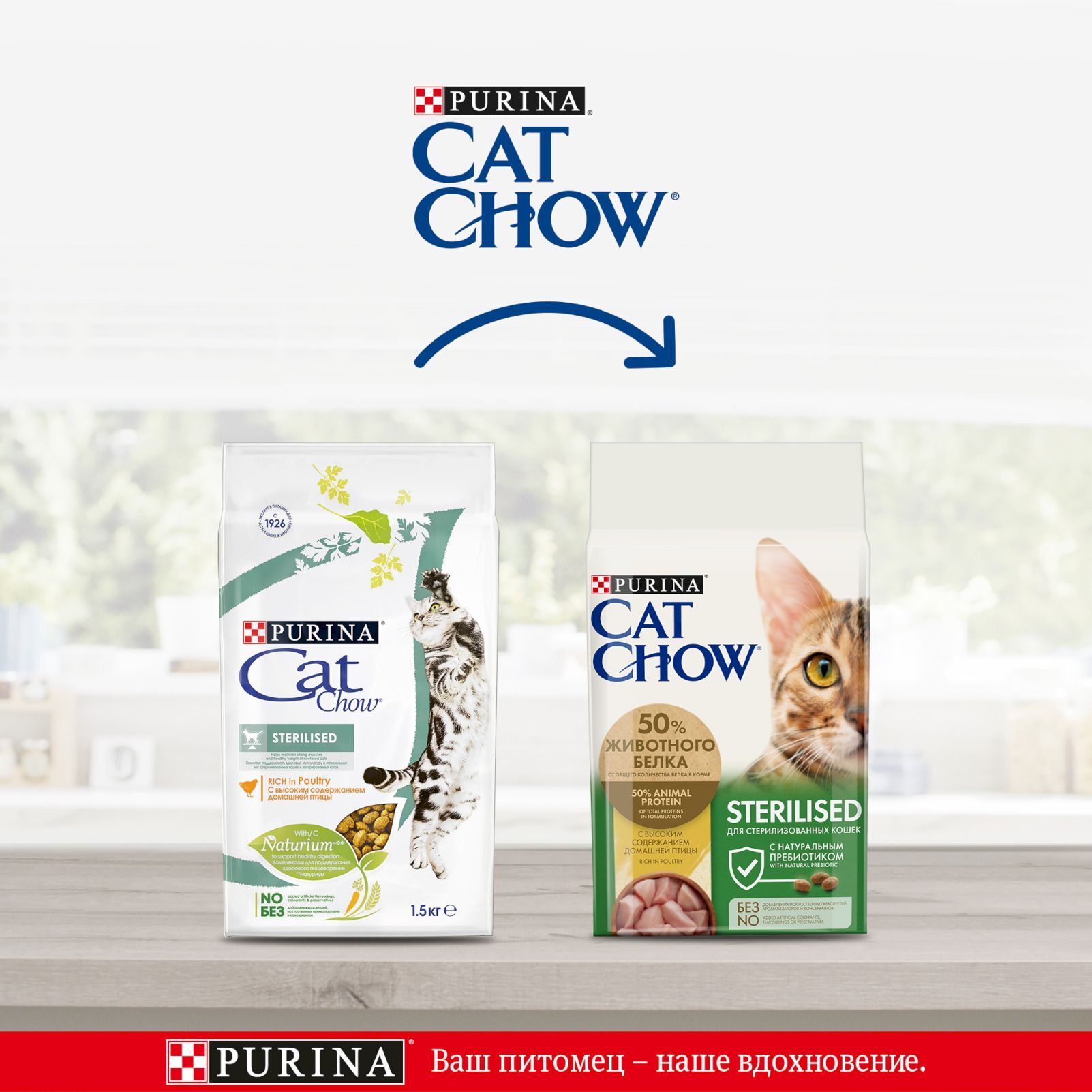 Купить Корм Cat Chow В Спб