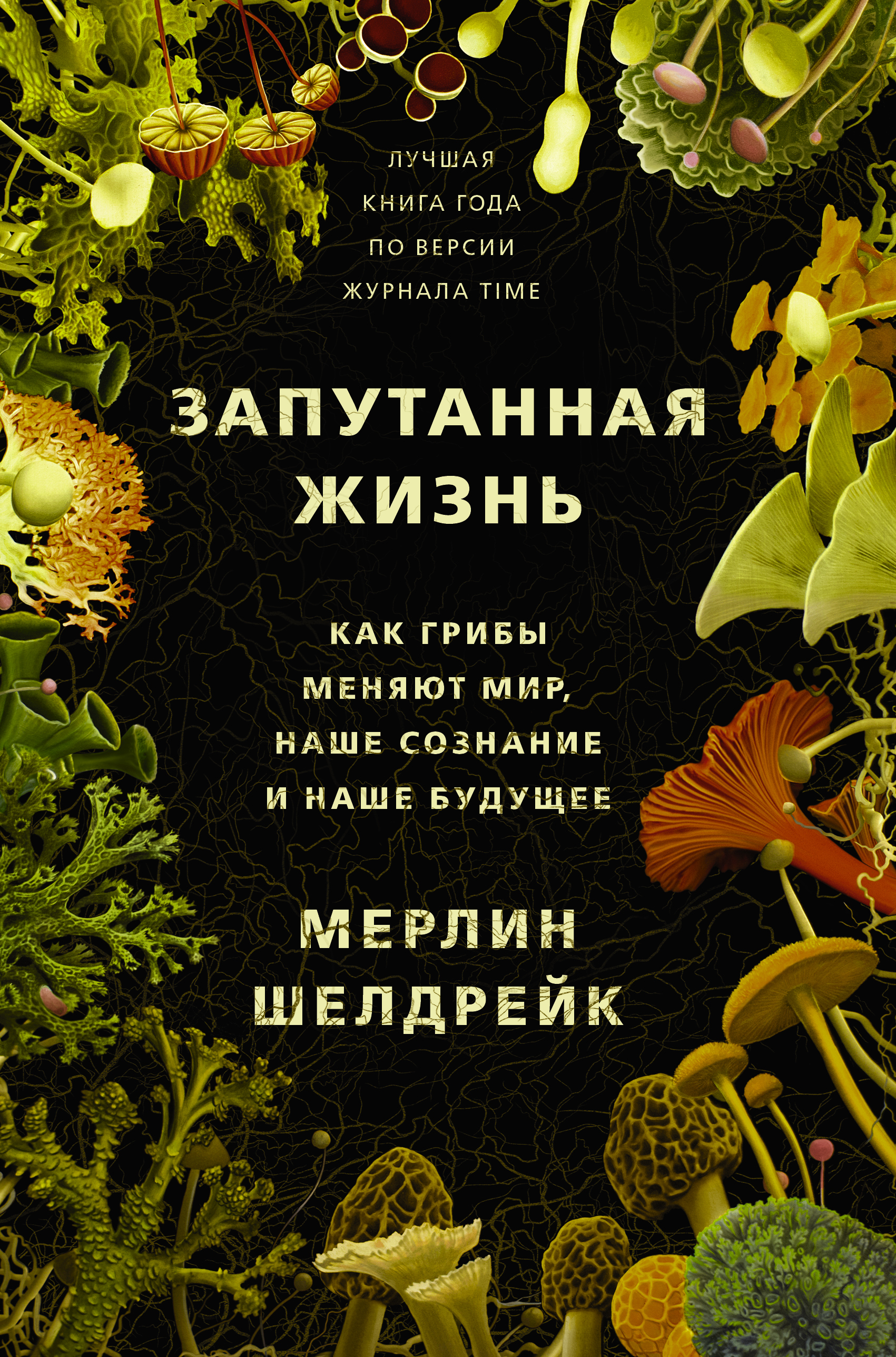 Запутанная жизнь. Как грибы меняют мир, наше сознание и наше будущее |  Шелдрейк Мерлин