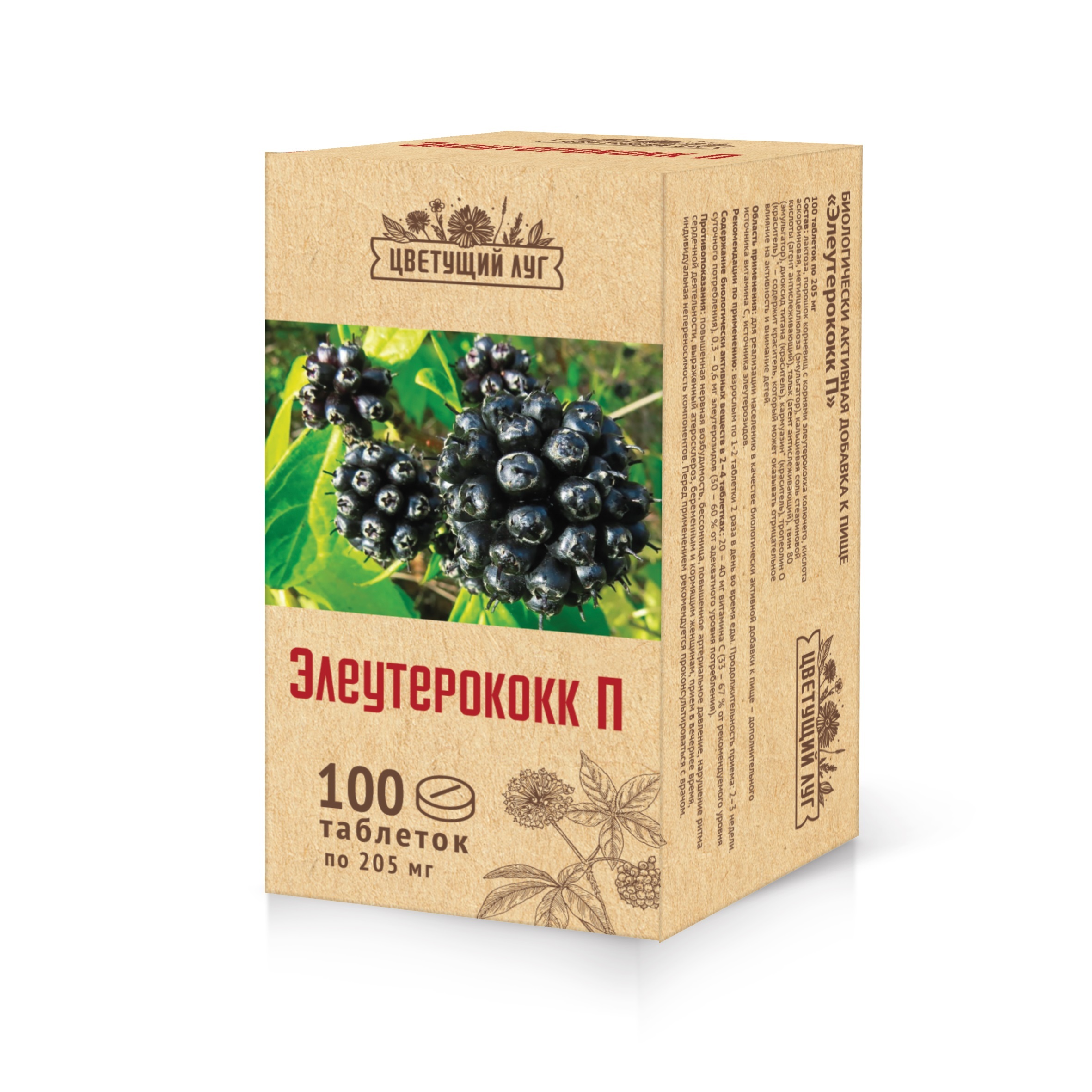 Элеутерококк таблетки. Элеутерококк п 205мг. №100 таб. /Парафарм/. Элеутерококк п табл.п.о. 205мг n100.