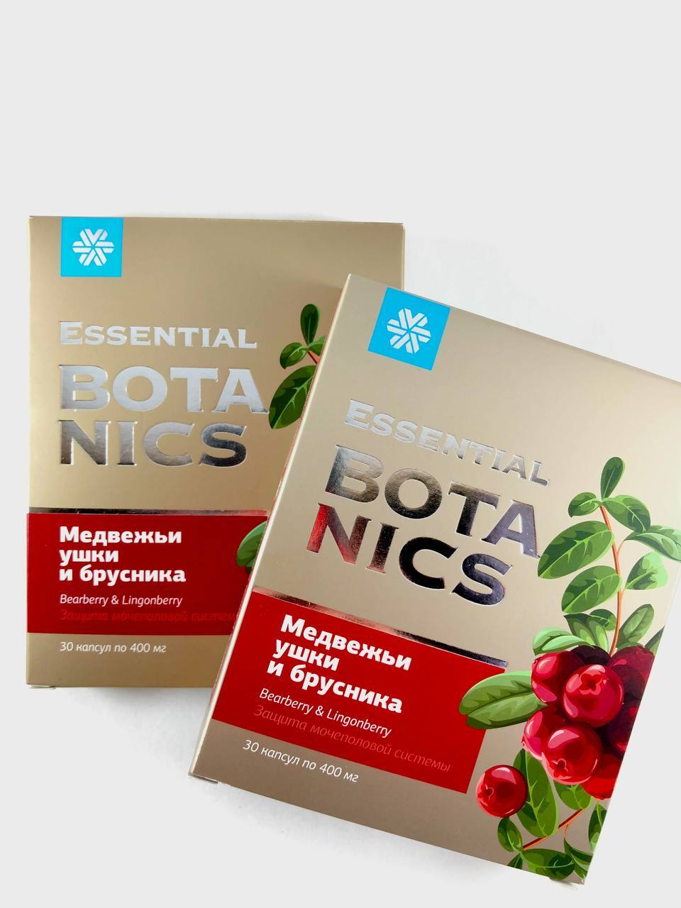 Медвежьи ушки и брусника essential botanics отзывы. Медвежьи ушки и брусника Сибирское здоровье. Медвежьи ушки от цистита. Медвежьи ушки и брусника купить в аптеке. Медвежьи ушки и брусника отзывы.