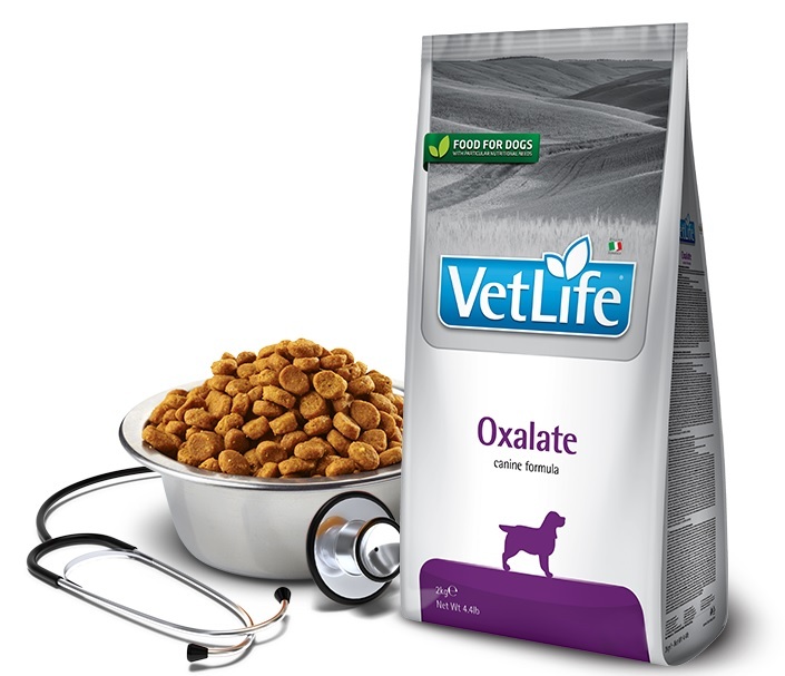 Vet life oxalate. Фармина obesity для собак. Корм для собак Farmina ULTRAHYPO. Сухой корм для собак Farmina vet Life obesity. Фармина Обесити для кошек.