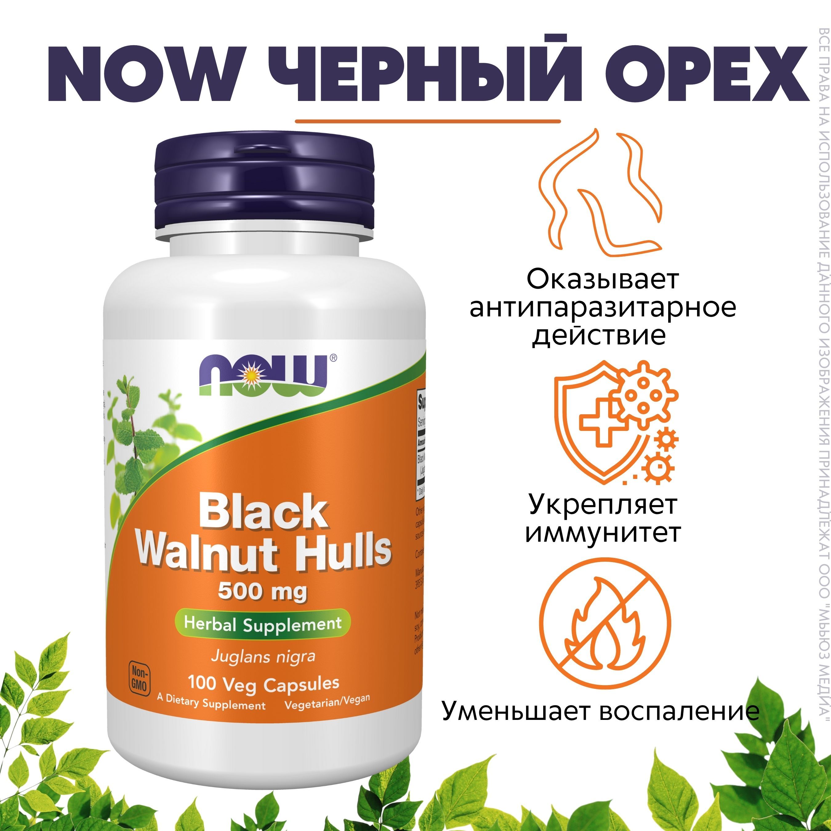 NOWЧерныйорех605мг100капс(BLACKWALNUTHULLS500MG100VCAPS)