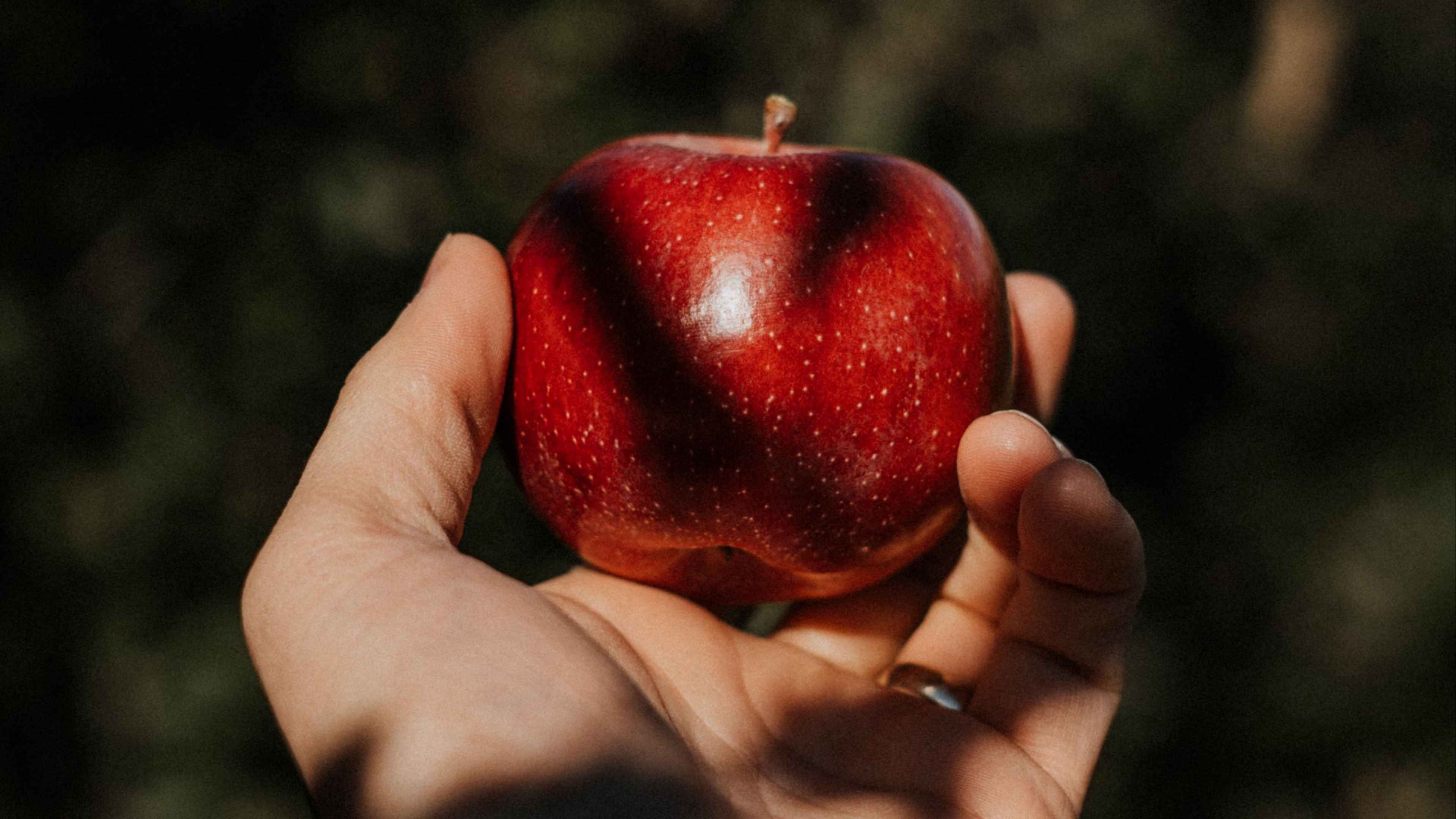 Приснилось есть яблоко. Яблоко. Яблоки красные. Яблоко на ладони. Фрукты в руках.