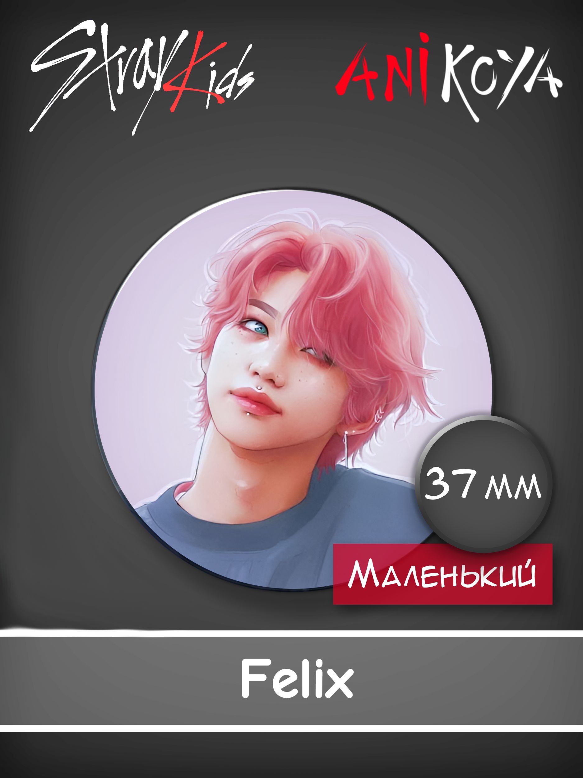 Kiv vik информация из открытых. Stray Kids значок. Микрофоны Stray Kids. Stray Kids информация.