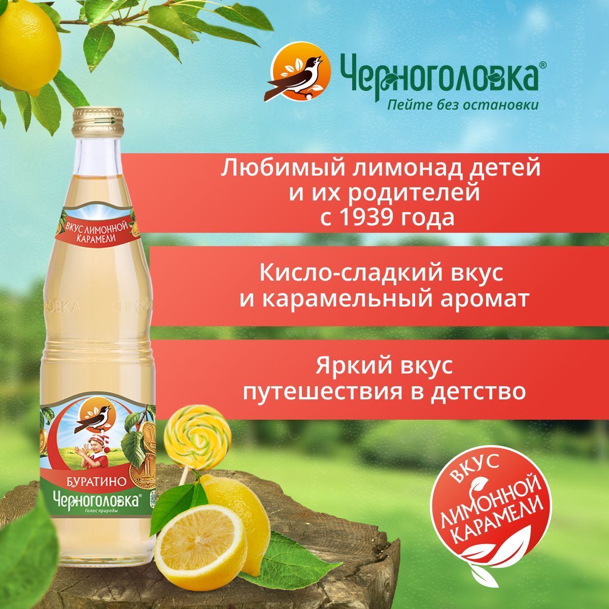 Черноголовка Буратино – купить в интернет-магазине OZON по выгодной цене