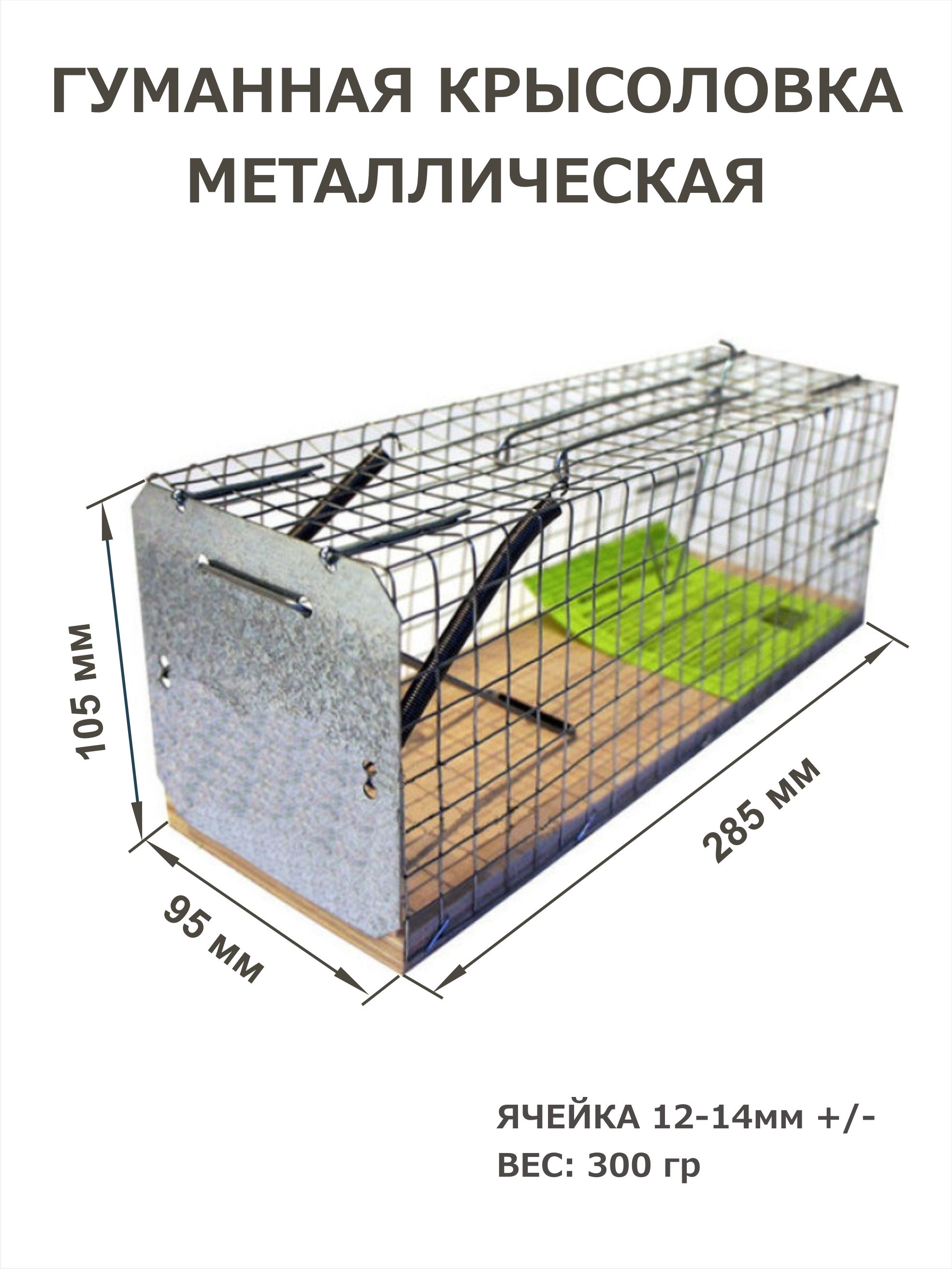 Мое гениально простое изобретение вечной мышеловки из ведра. Безотказная конструкция на все времена