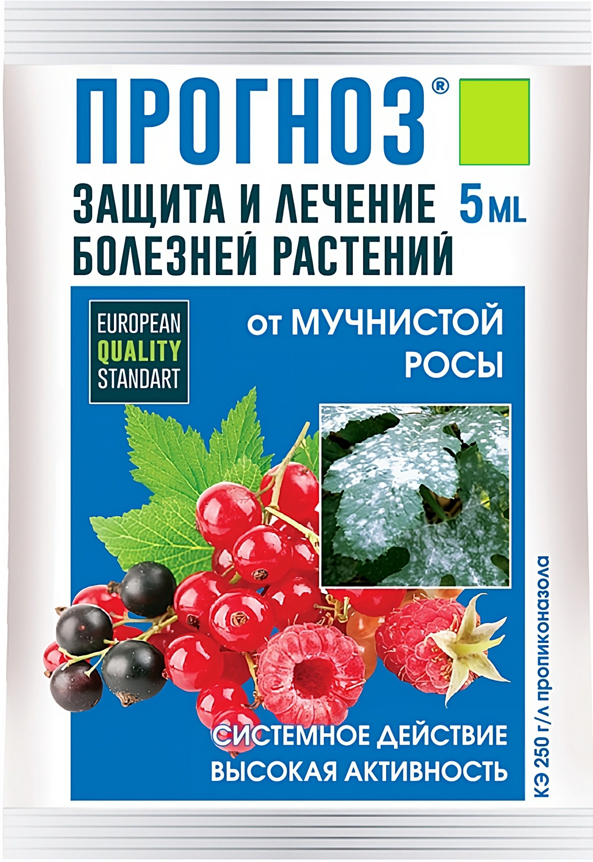 Прогноз росса. Грин Бэлт мучнистой росы. Системный фунгицид от мучнистой росы. Средства от боезнейрастений. Средства от мучнистой росы на цветах.