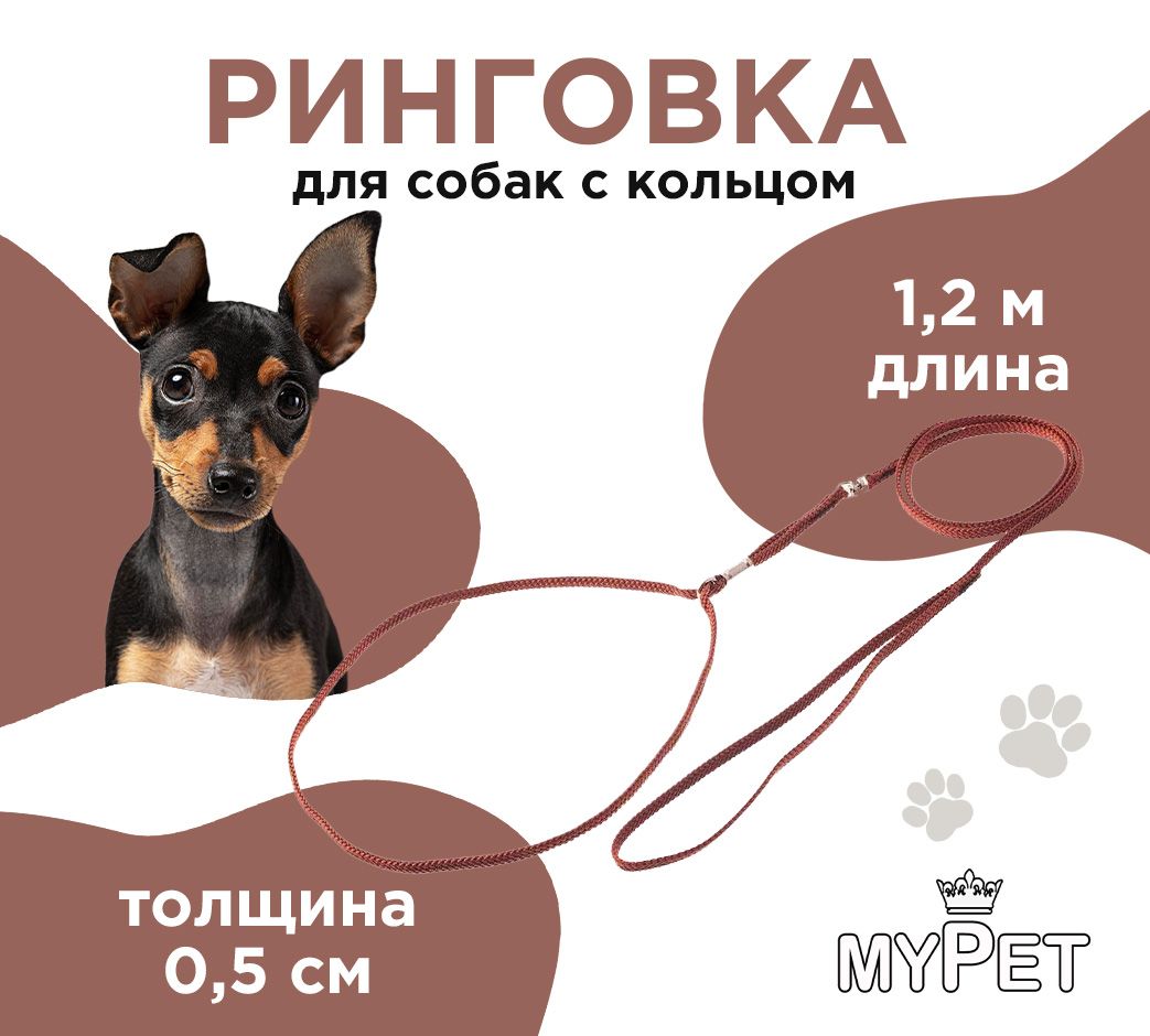 myPet Ринговка с кольцом светло-коричневая для выставок и дрессировки, поводок для собак мелких и средних пород, зоотовары