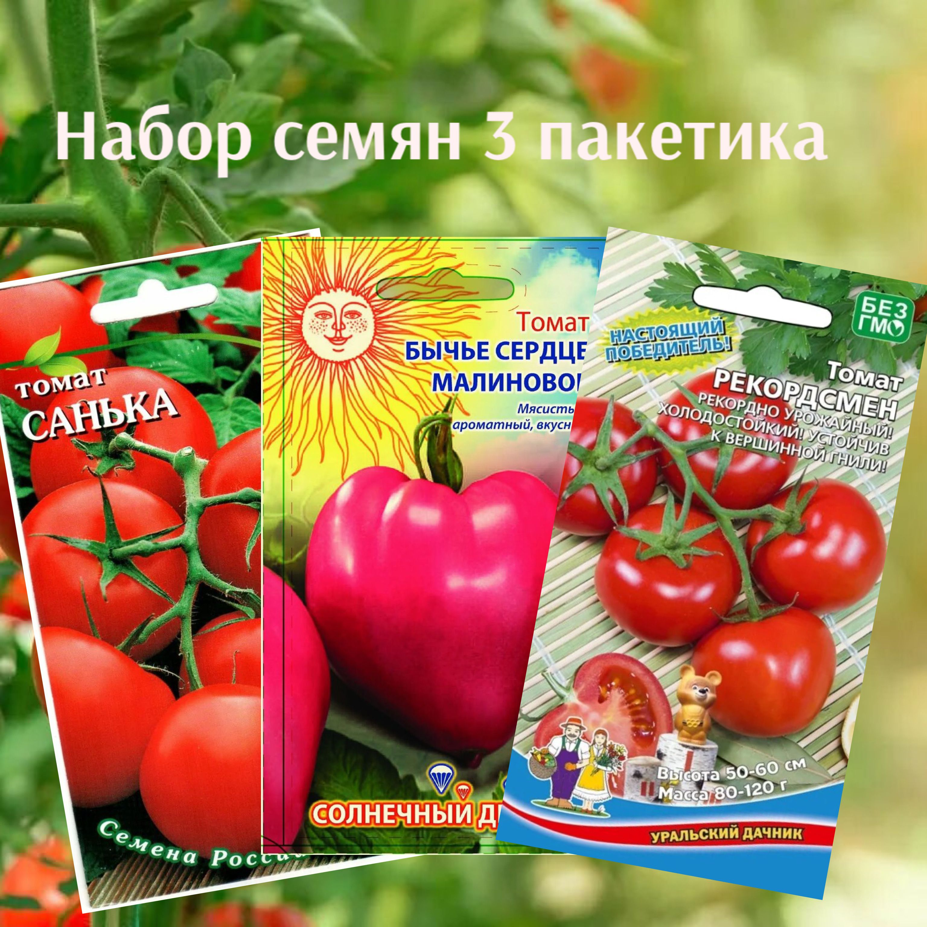 Томат бычье сердце малиновое седек. Томат малиновое сердце. Томат малиновое сердце семена алтая золотая сотка. Томат бычье сердце малиновое. Томат бычье сердце малиновое.