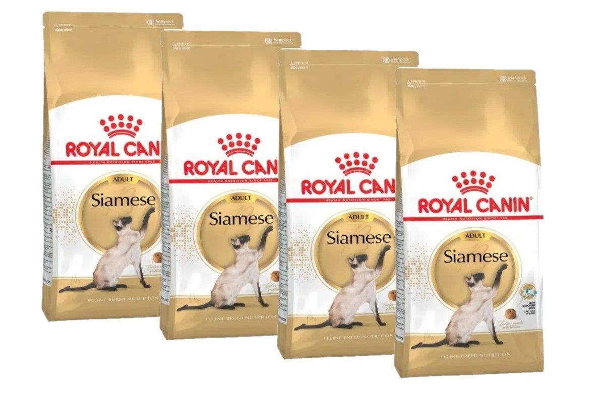 Siamese 38 Royal Canin Купить 2 Кг