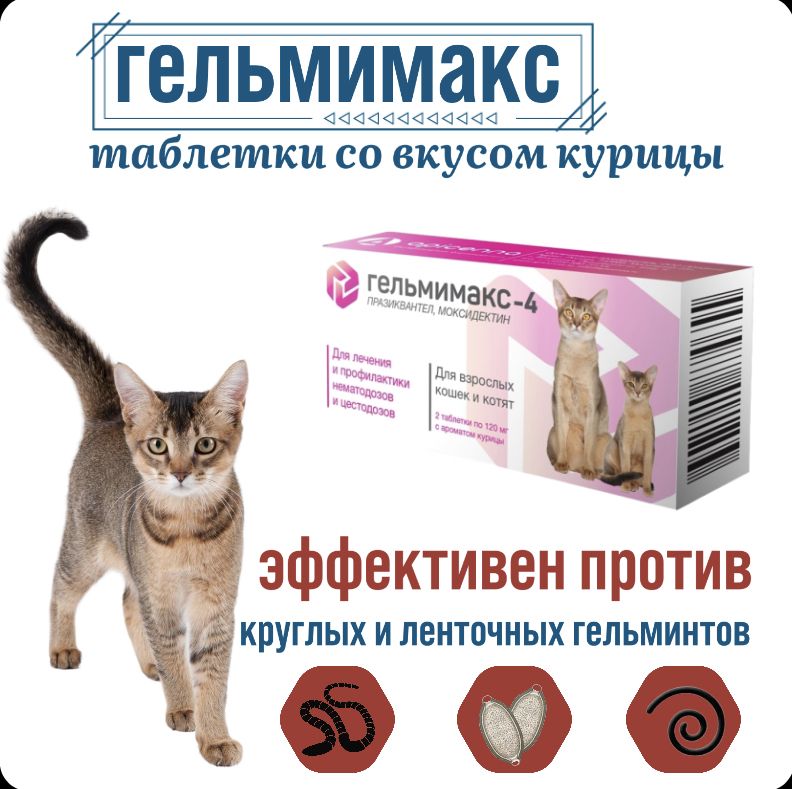 Гельмимакс для кошек купить. Гельмимакс 2 для котят. Гельмимакс для котят. Гельмимакс таблетки для кошек. Гельмимакс-10 для взрослых кошек более 4 кг 2*120 мг (60 шт/уп).
