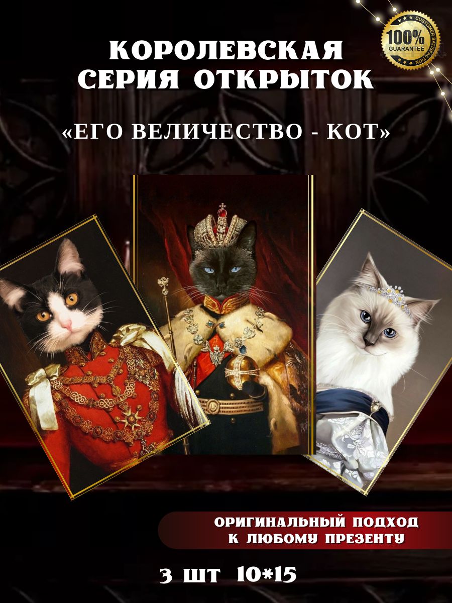 Его величество кот. Его величество кот. Его величество кот. Коты в ванной. Его величество кот.