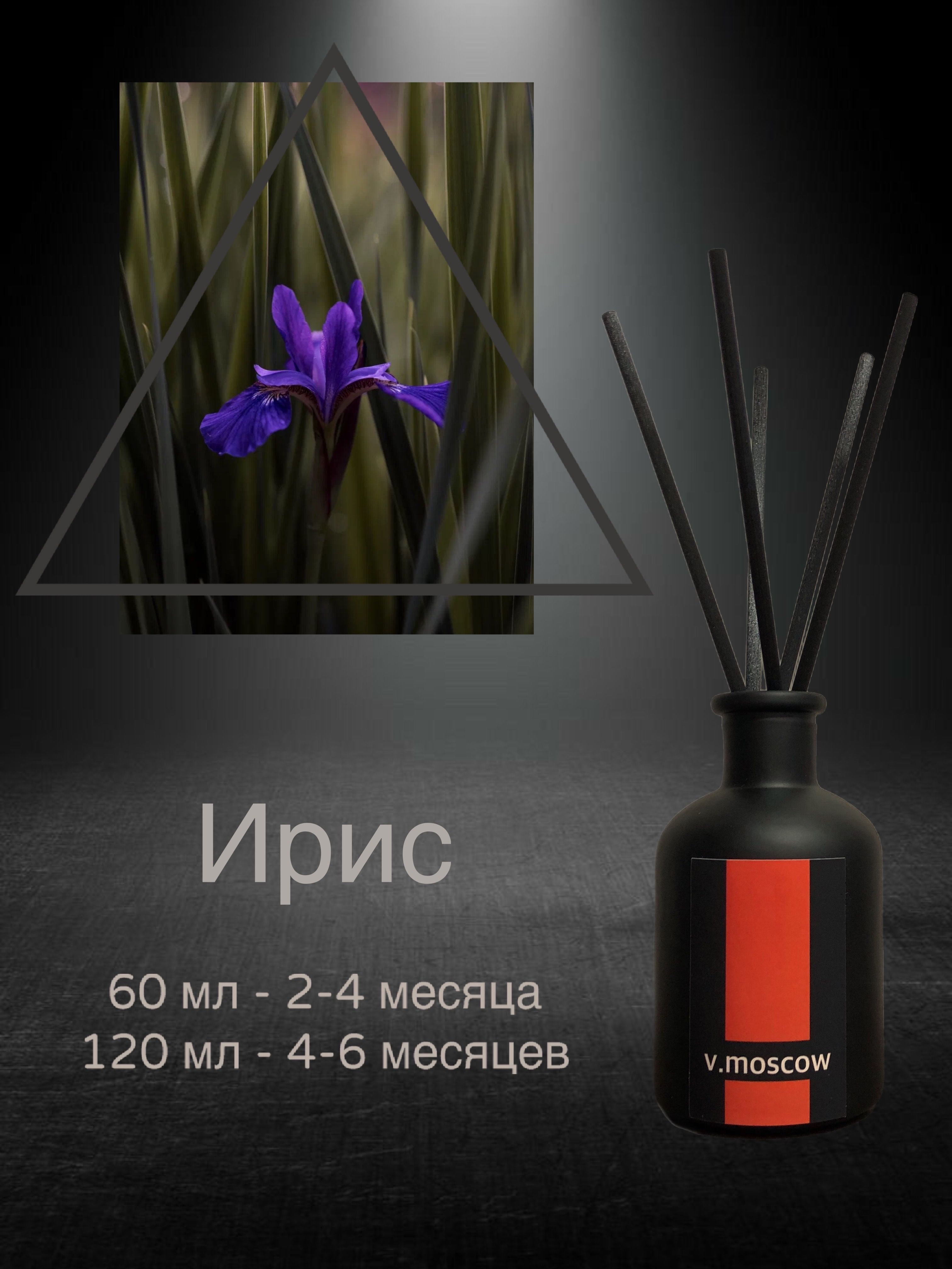 Ирис 120 прибор. Цветы ирисы.