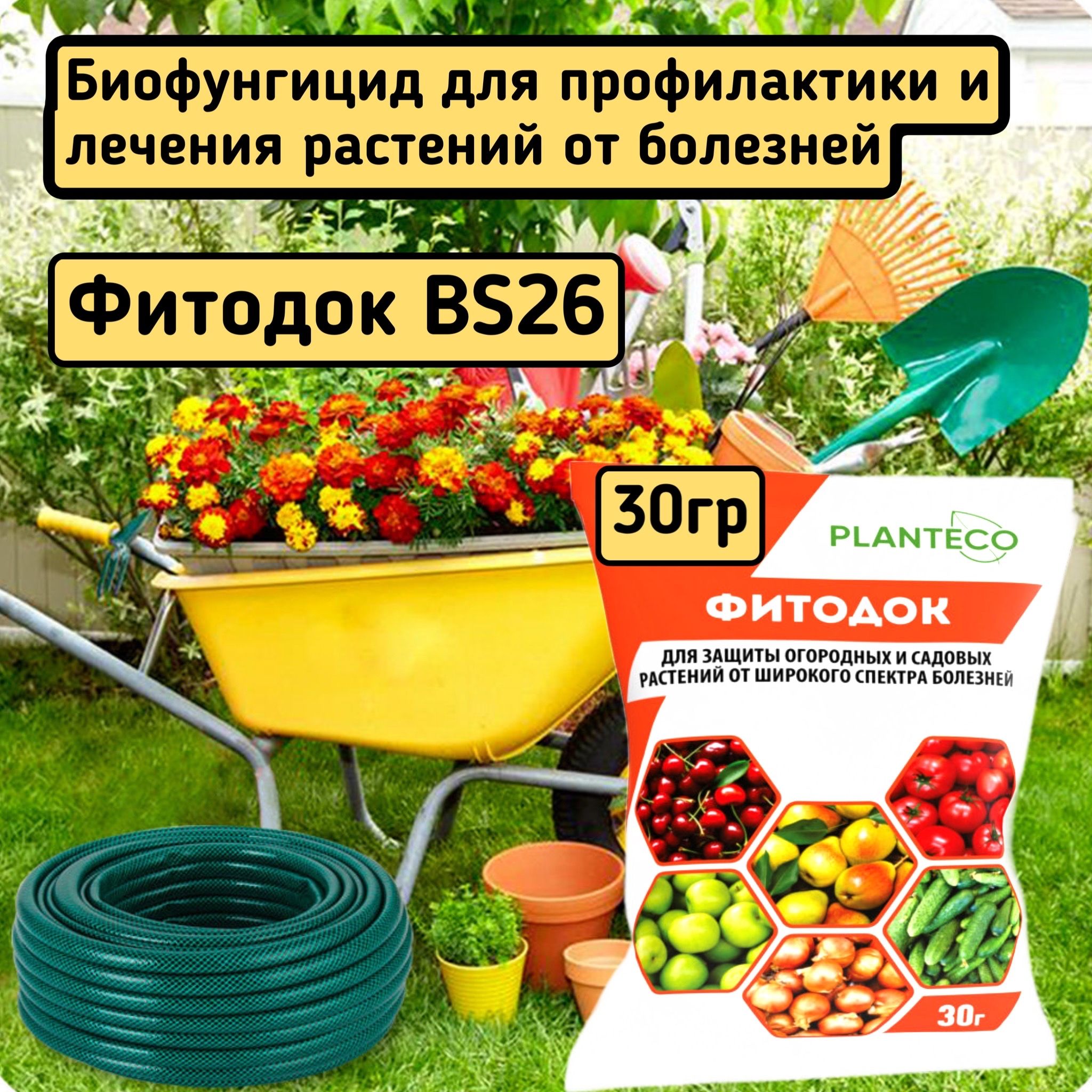 Триходермин тн82 инструкция по применению для растений. Фитодок bs26 30 г. Фитодок для растений инструкция по применению. Препараты от грибных болезней растений. Триходермин тн82 инструкция по применению для растений.