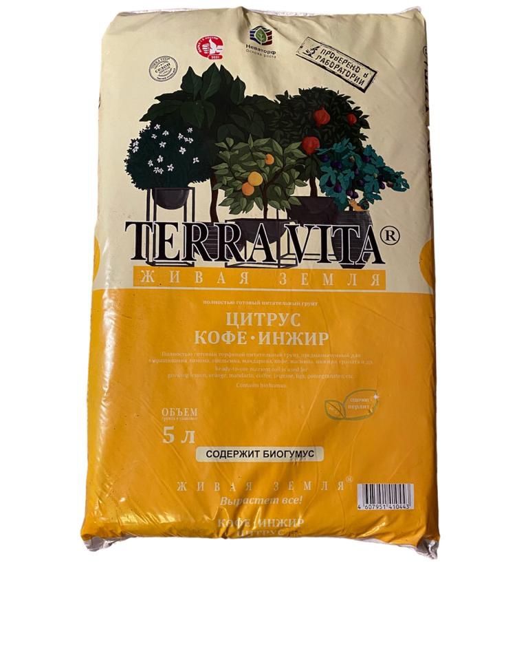 Грунт для граната. Кофе цитрус книга. Грунт для граната комнатного готовый. Процесс выращивания граната комнатного саженцами. Почва для граната комнатного.