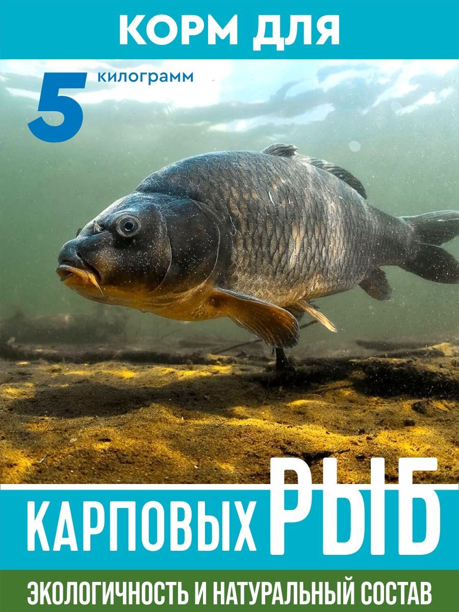 Корм для рыб, карпа, прудовых, комбикорм (гранулы) 5 кг.