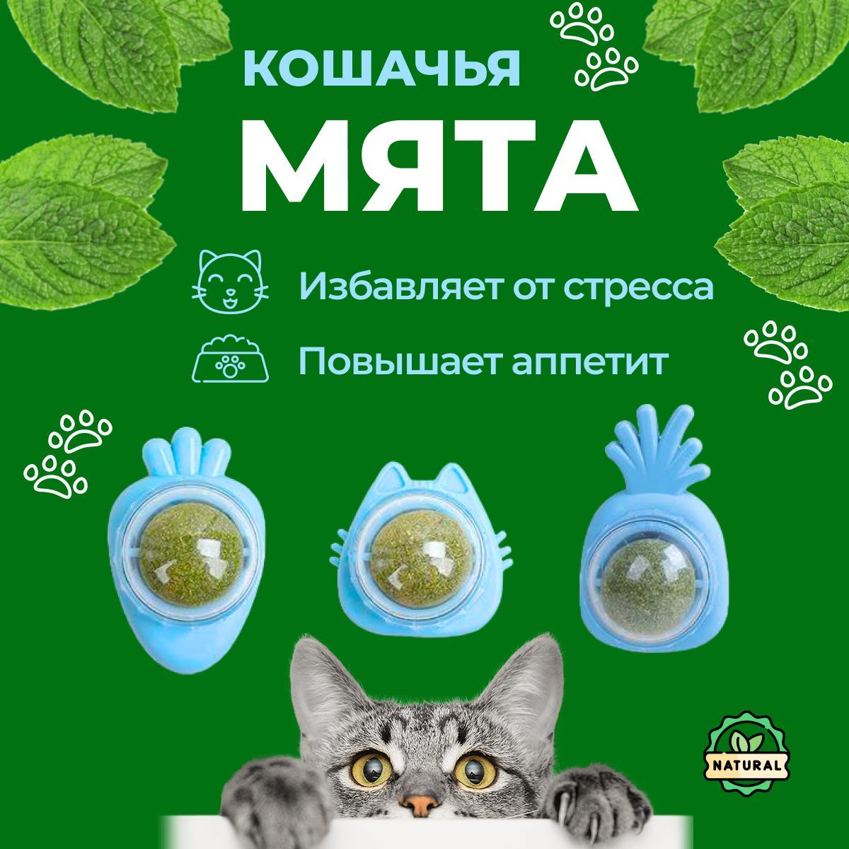 Кошачья мята / Шарик с кошачьей мятой на стену / Лакомство для кошек -  купить с доставкой по выгодным ценам в интернет-магазине OZON (887308374)