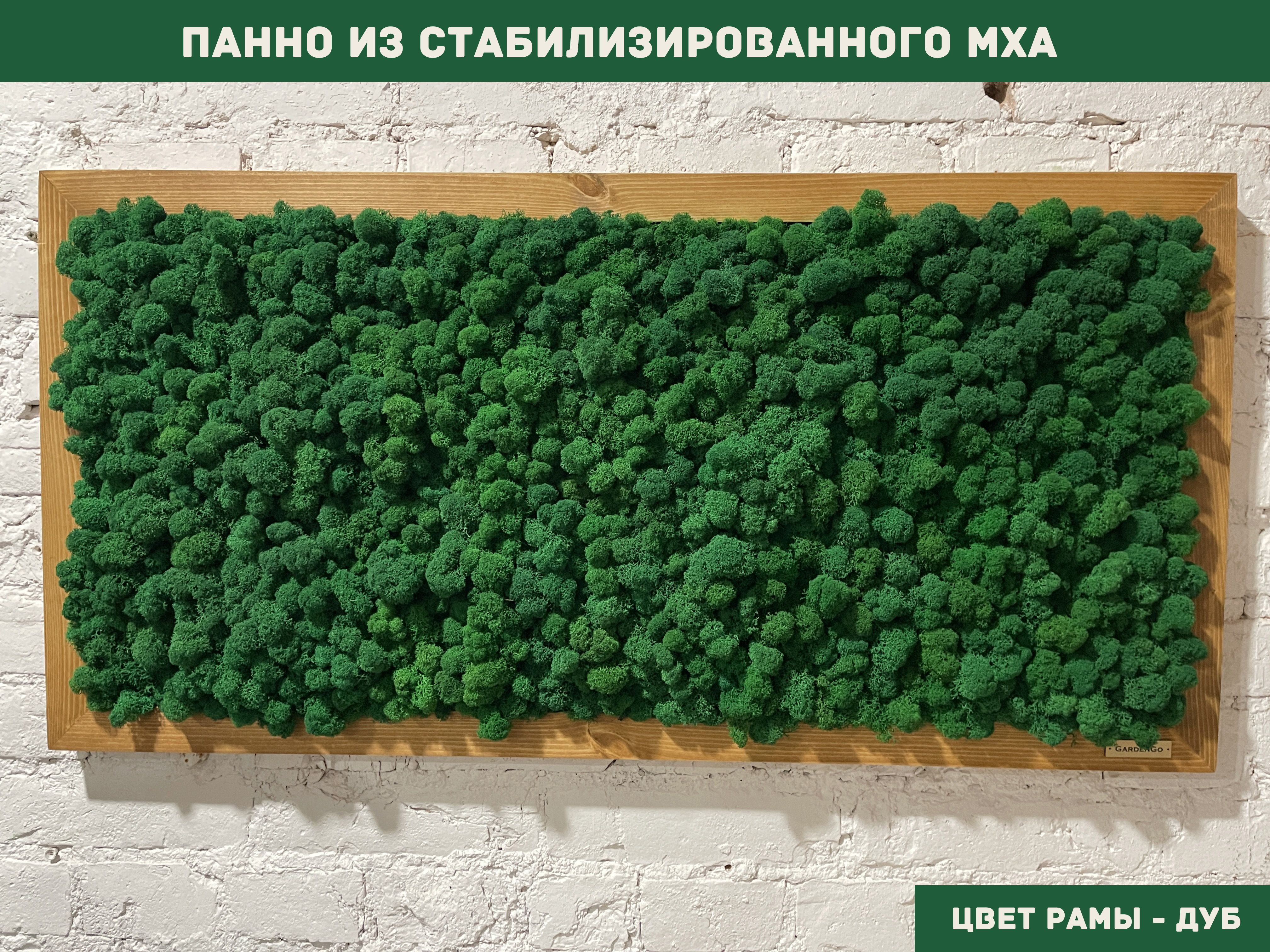 Стабилизированный ответ. Стабилизированный мох цвета. стабилизированный мох текстура. панно прямоугольное 50х30 см..