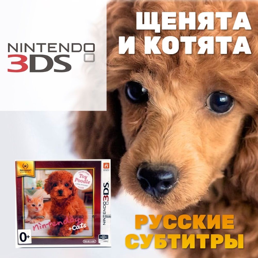 Игра Nintendogs+Cats. Карликовый пудель и новые друзья (Nintendo 3DS, Русские субтитры)