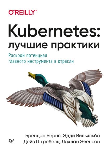 Kubernetes:лучшиепрактики.Раскройпотенциалглавногоинструментавотрасли(pdf+epub)|БёрнсБрендан,ВильяльбаЭдди|Электроннаякнига