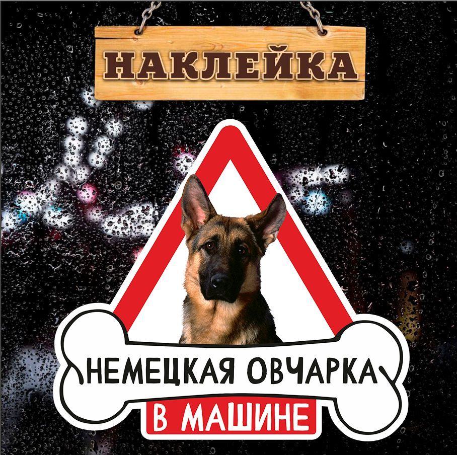 Наклейка, на авто, Немецкая овчарка в машине, Злая собака, 17см х 16см