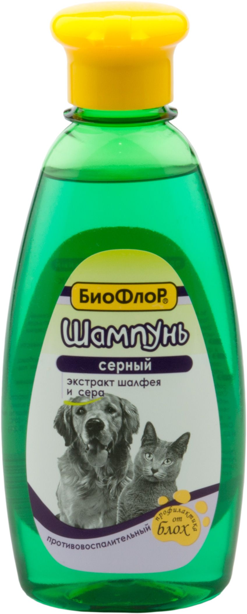 Купить Шампунь Для Кошек И Собак